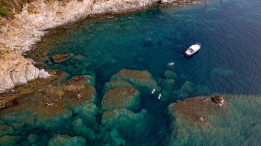 Excursion paddle - les matins sur rendez vous – Image 3