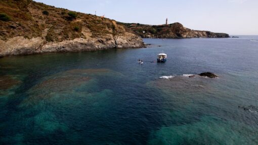 Excursion paddle - les matins sur rendez vous – Image 5
