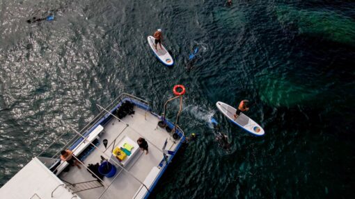 Excursion paddle - les matins sur rendez vous – Image 6