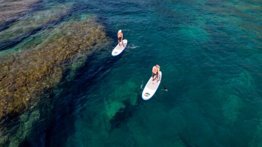 Excursion paddle - les matins sur rendez vous – Image 7